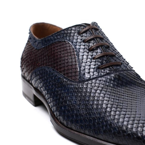 WILLIAM Stringate in Pitone blu, bordeaux - immagine 4